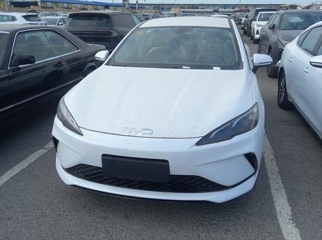 BYD  2025
