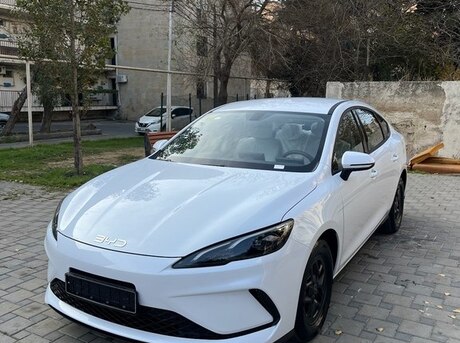 BYD  2025