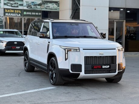 ROX (Polar Stone) 01