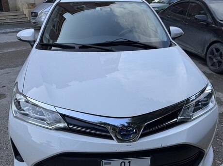 Toyota Corolla Fielder 2020