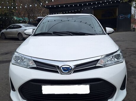 Toyota Corolla Fielder 2019