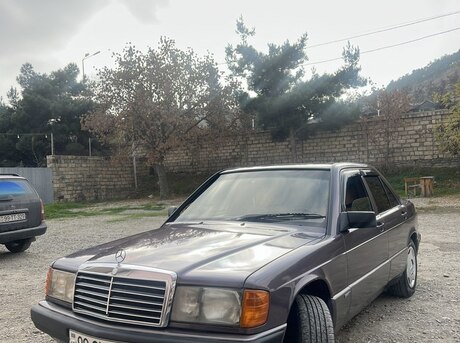 Mercedes 190 1991