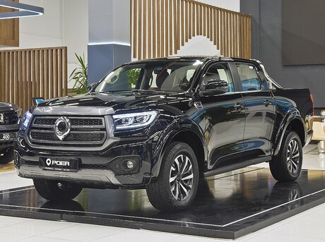 GWM (Great Wall Motor) Poer