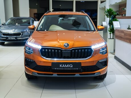 Skoda Kamiq