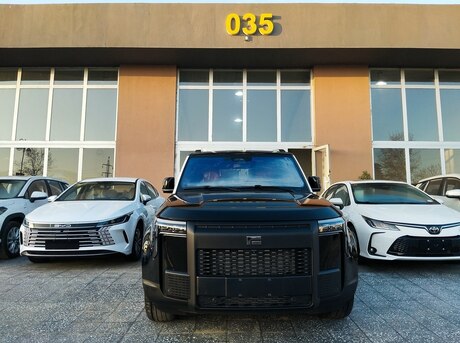 ROX (Polar Stone) 01