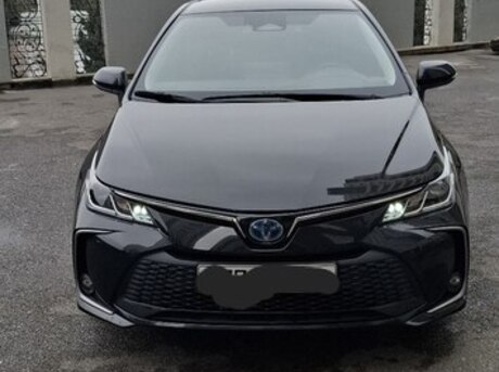 Toyota Corolla 2025