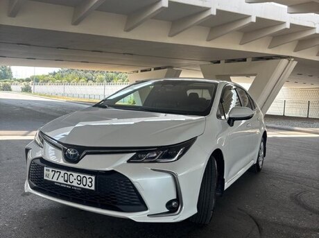 Toyota Corolla 2023