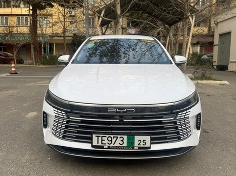 BYD Destroyer 05 2024