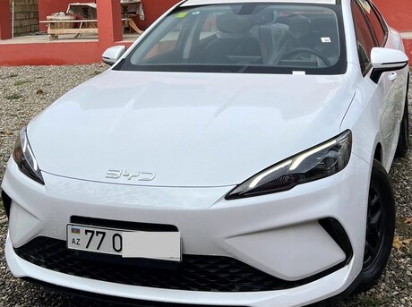 BYD  2025