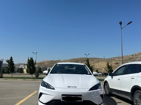 BYD  2025