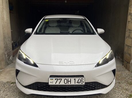 BYD  2025