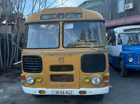 PAZ 672