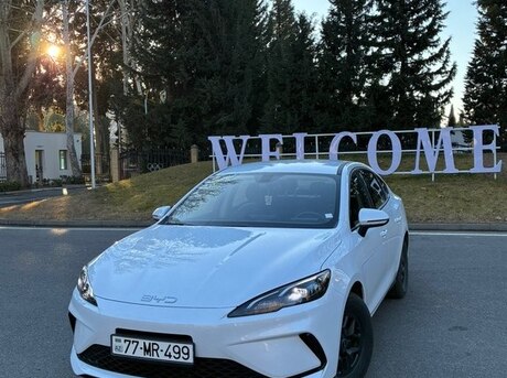 BYD  2025
