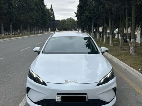 BYD  2025
