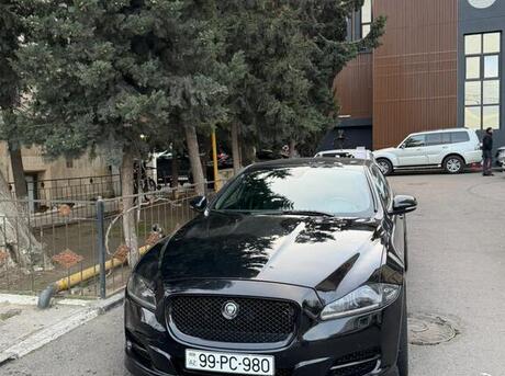 Jaguar  2011