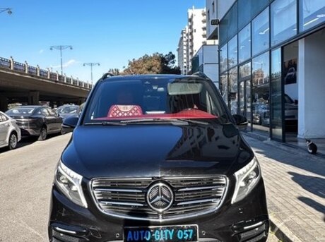 Mercedes Viano