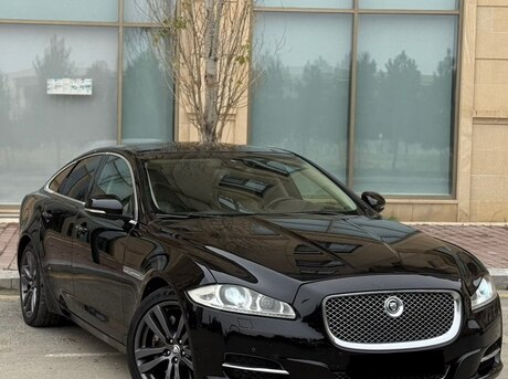 Jaguar  2011