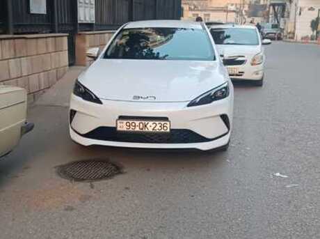 BYD  2025