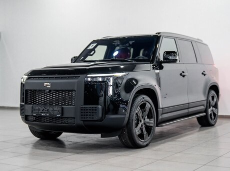 ROX (Polar Stone) 01