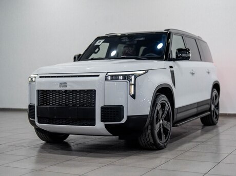 ROX (Polar Stone) 01