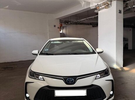 Toyota Corolla 2024