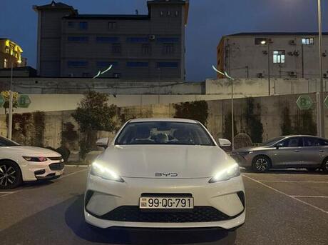 BYD  2025