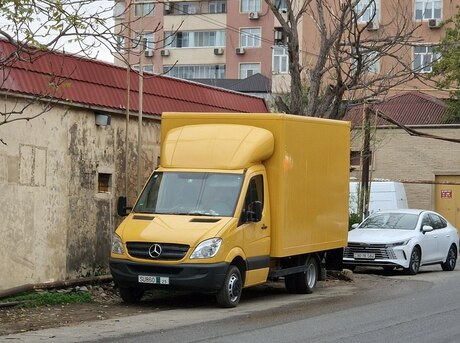 Mercedes Sprinter 313 2008