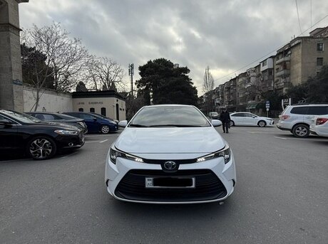 Toyota  2024
