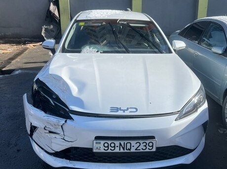 BYD  2025
