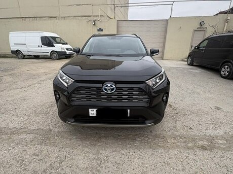 Toyota RAV4 2024