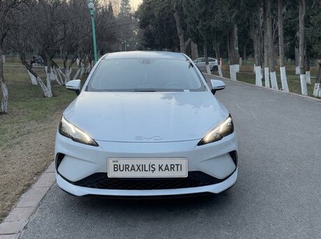 BYD  2025