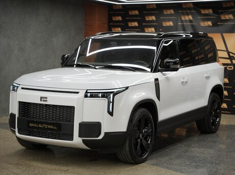 ROX (Polar Stone) 01