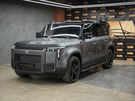 ROX (Polar Stone) 01