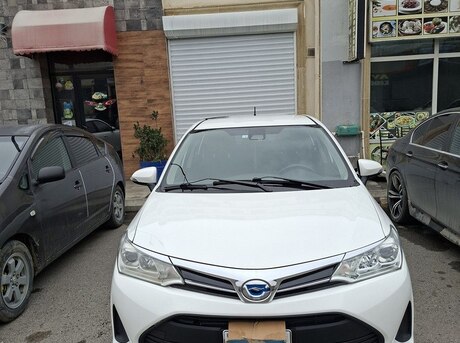 Toyota Corolla Fielder 2019