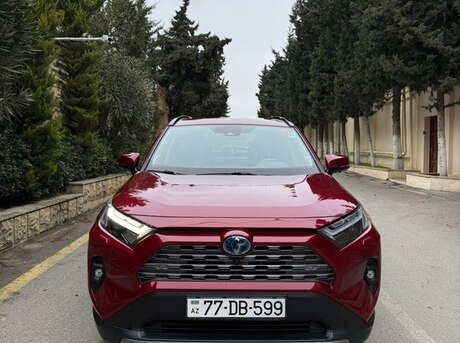 Toyota RAV4 2024