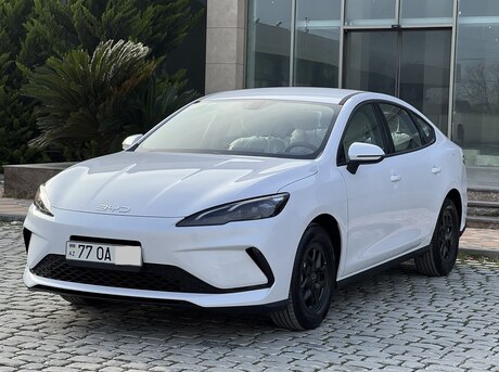 BYD  2025