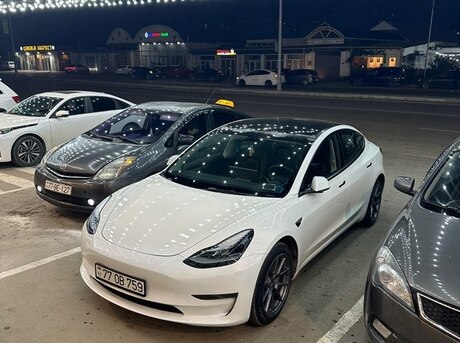 Tesla Model 3 2023