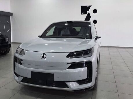Denza N9