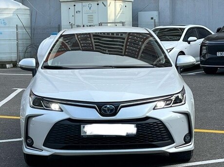Toyota Corolla 2023