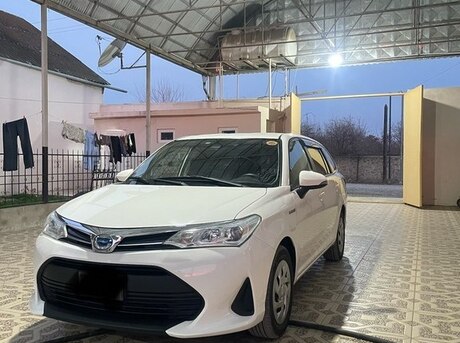 Toyota Corolla Fielder