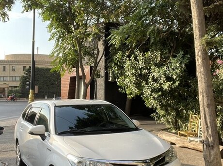 Toyota Corolla Fielder 2019