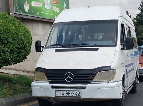 Mercedes Sprinter 313 1995