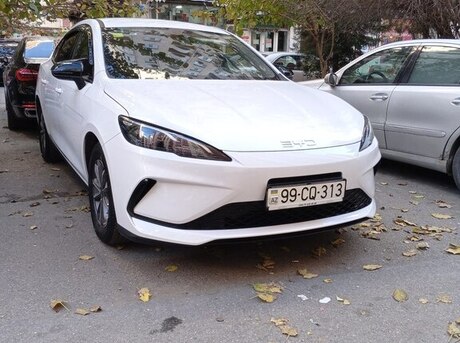 BYD  2025