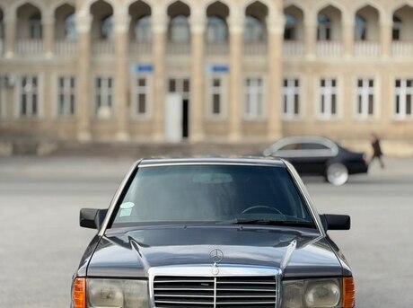 Mercedes 190 1991