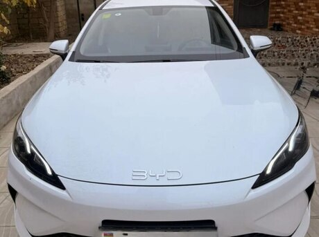 BYD  2025