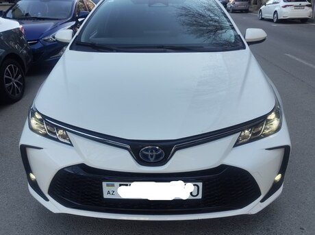 Toyota Corolla 2023