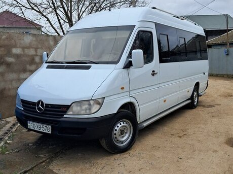 Mercedes Sprinter 313