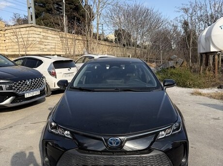 Toyota Corolla 2023
