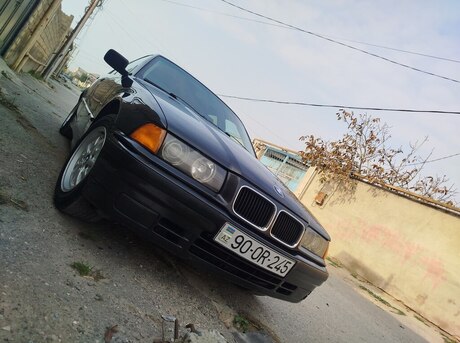 BMW 318 1991