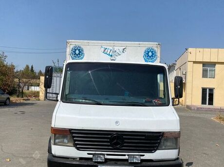 Mercedes Vario
